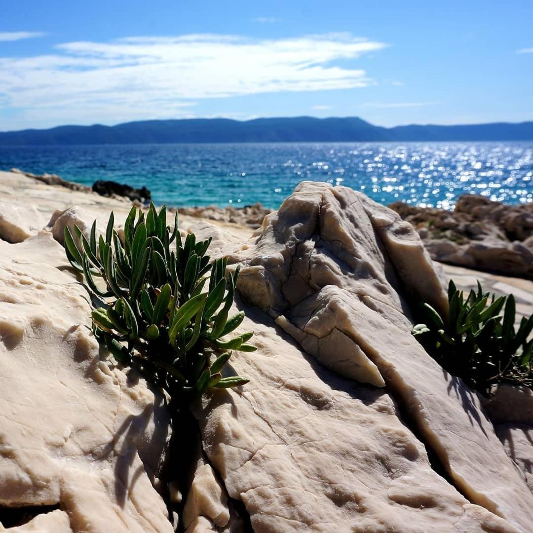 Apartment Lucille In Center Of Rabac Exterior foto